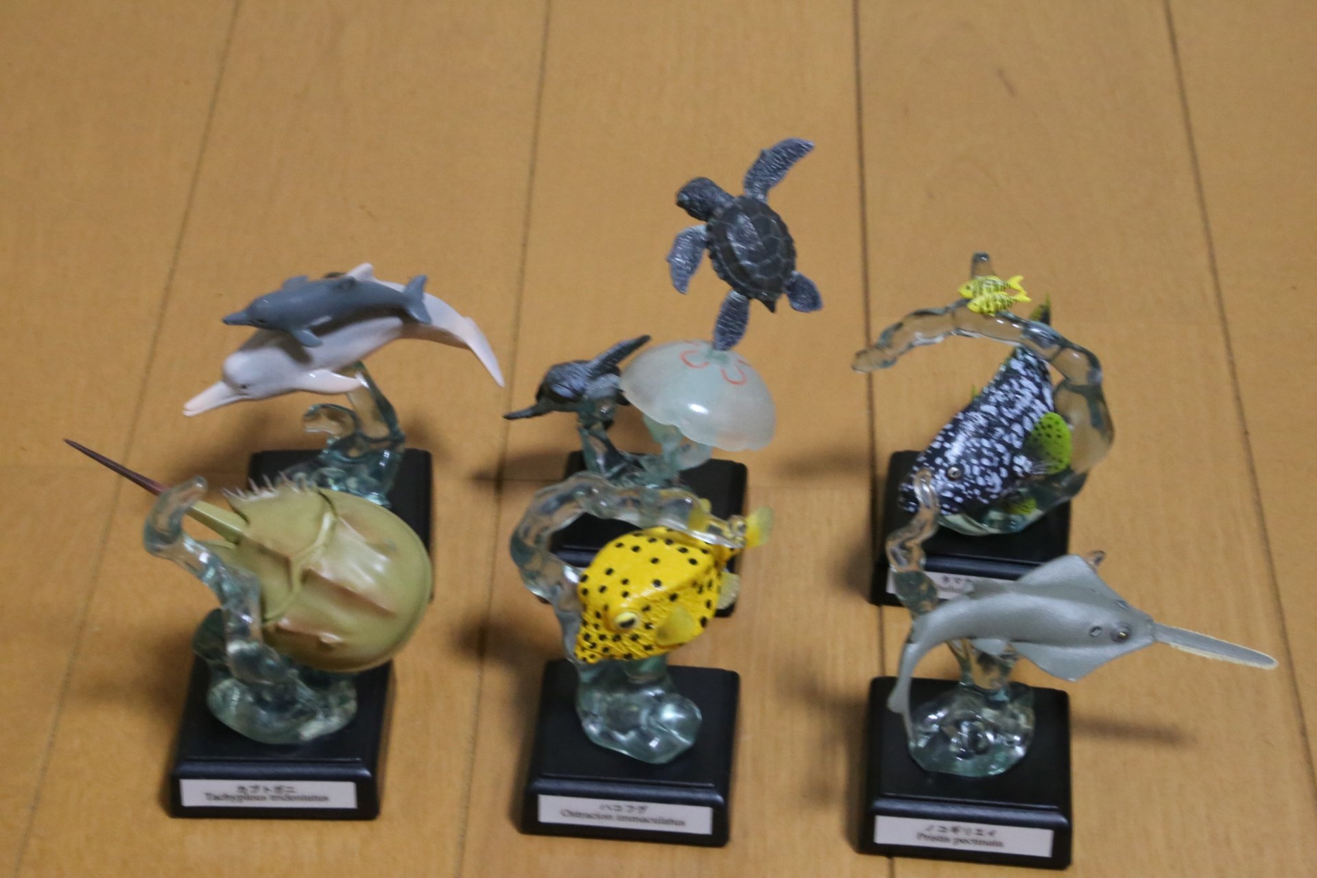 水族館フィギュア12種類セット ライトアップフィギュア - キャラクター