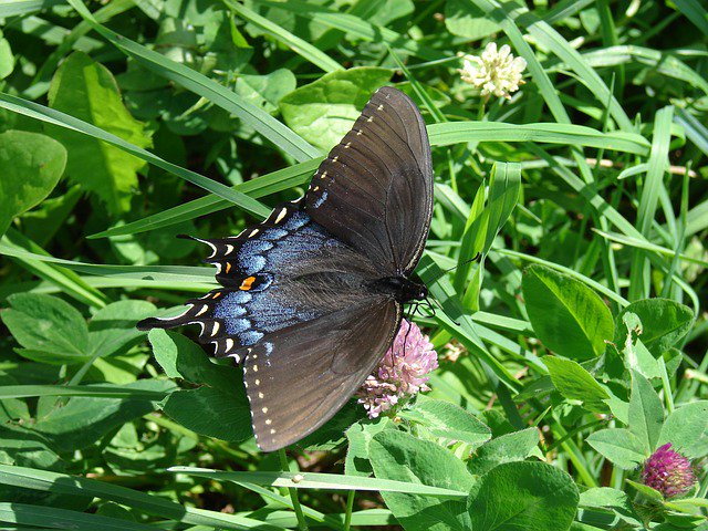 dorisandboris's tweet photo. Happy #EarthDay2018!
Is today the day to make the necessary changes to your lifestyle to protect the beauty of our wonderful planet?
Create your own butterfly effect.
#Upcycling #Vintage #Vintagelife #Vintagelifestyle #Retro https://t.co/UCDSeYUUqj