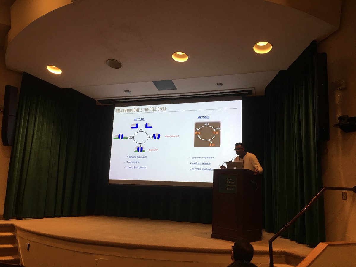 MSchvarzstein's tweet photo. More awesomeness at #nesdb2018 https://t.co/bk95MFCk2n