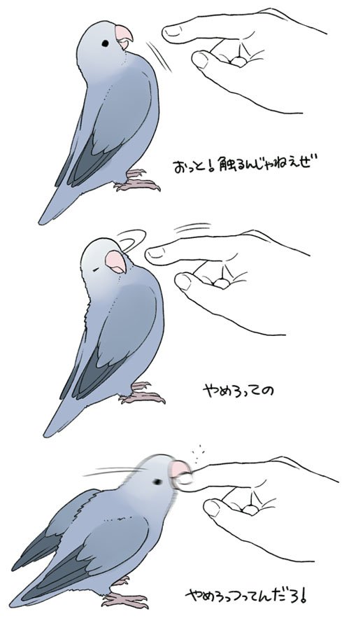 インコのtwitterイラスト検索結果 古い順