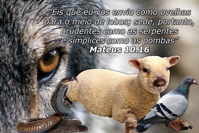 _Bispa2014 tweet picture