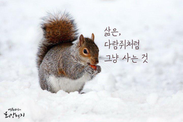 법륜스님 tweet media