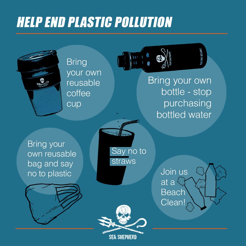 Happy Earth Day! For 2018, the Earth Day theme is End Plastic Pollution, and here are just a few simple ways you can help. #earthday #earthday2018