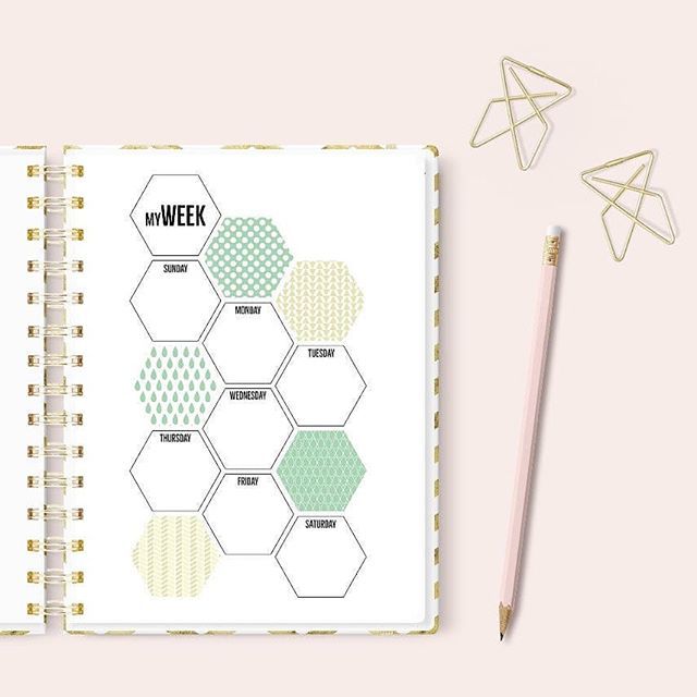 findingnorths's tweet photo. Ready to plan your week? I love sitting down on Sunday and plot it all out. I know my week is better and more productive then. 
Anyone else do a #planningsunday ? I'd love to see how you plan 😊 https://t.co/pXXdwE746V https://t.co/BYKgi2LK8r