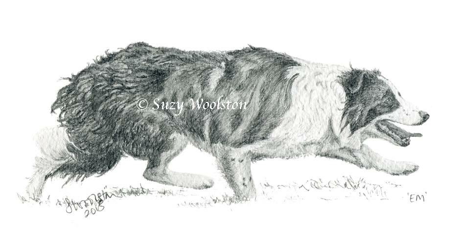 SuzyWoolston's tweet photo. Always a pleasure to be given free rein on what medium you use for a commission. This is my current favourite – soluble pencil. The client was "really chuffed" with the result. https://t.co/YX8NueXYDt