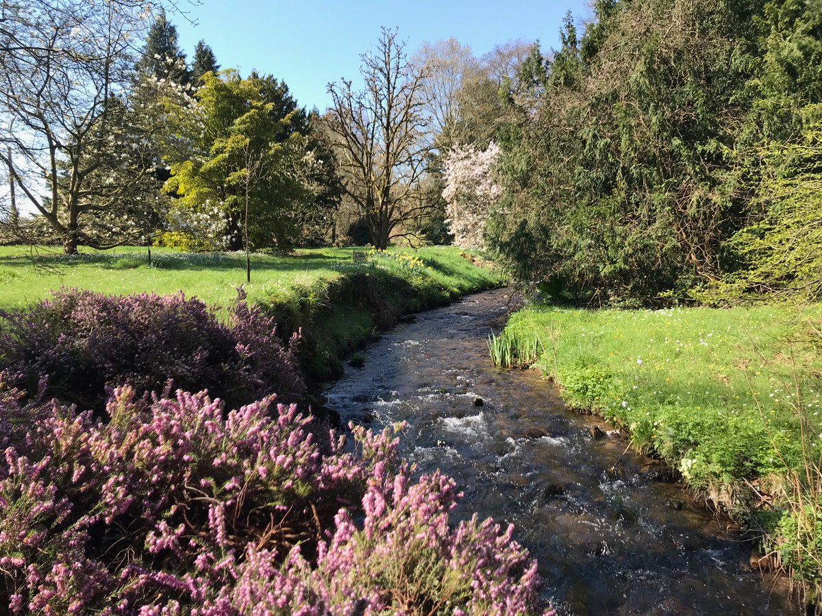 LlanoverGarden's tweet photo. Garden open today , 2-5pm for NGS @GwentNGS @NGSOpenGardens @visit_mon @visitwales @cadw #visitagarden #springgarden #watergarden https://t.co/Wq4XV1bYAm