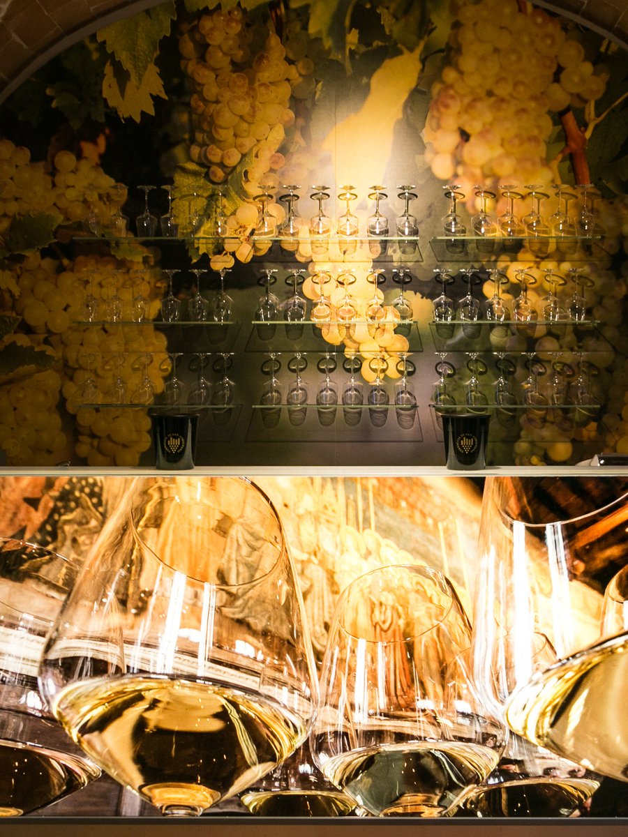 shareyoursangi's tweet photo. Oggi alle 17.30 #invasionidigitali al Vernaccia di San Gimignano Wine Experience La Rocca. Esperienza immersiva tra sapori, storia e tecnologia. Vi aspettiamo con @vernacciasg e @igerssiena @InvasioniDigita #sangimignano #vernacciadisangimignano #igerssiena #toscana #Vino https://t.co/saZy9qVFL9