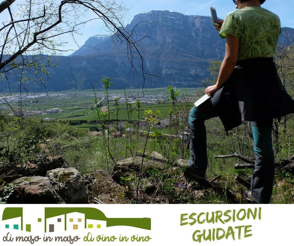 dimasoinvino's tweet photo. Mercoledì 25 Aprile, durante l'ento Di Maso in Maso di Vino in Vino puoi fare un'escursione guidata da un accompagnatore del territorio per conoscere meglio lo straordinario territorio delle verdi colline Avisiane.
Info:
https://t.co/bAKUIvIjmR

#dimasoinvino #trentinowinefest https://t.co/Zf8MbqI89e