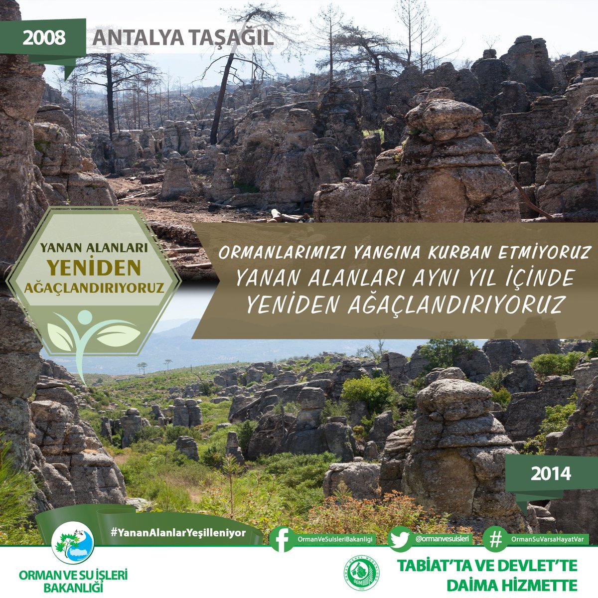 zonguldakobm's tweet photo. Yanan alanlarda binalar değil fidanlar yükseliyor, yanan alanlar aynı yıl içinde tekrar ağaçlandırılıyor. #YananAlanlarYeşilleniyor https://t.co/sYMHSHwnEu