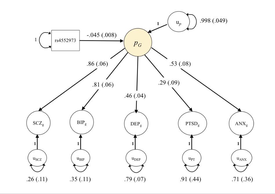 You like genome-wide association studies...
And you like structural equation modeling...
Presenting a new combination of the two: Genomic SEM! Now you can analyse the structure of genetic correlations: biorxiv.org/content/early/… by @Andrew_Grotz