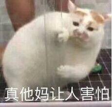 Samourthee's tweet photo. @lwctth3 低水位而已，扯犊子也要有个限度。你怎么不说大西洋干了呢 https://t.co/SJHOg12kKU
