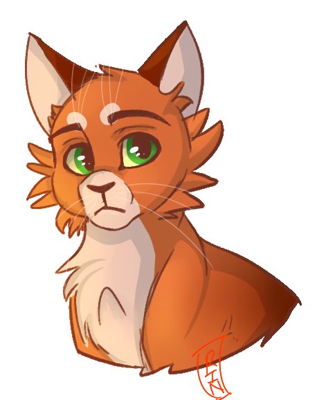 Warriors Fanart Firestar | Sante Blog