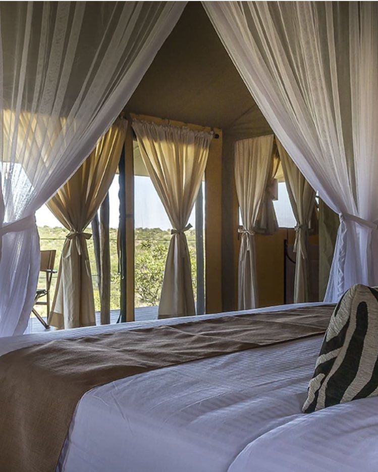 trippygotours's tweet photo. Let's take you to JAMBO MUTARA CAMP for you to enjoy unmatched luxury, uninterrupted Wilderness views. Get to Enjoy Bespoke tailor made Helicopter safaris to get the view of Mutara Conservancy. https://t.co/3wIAJv83Gq
