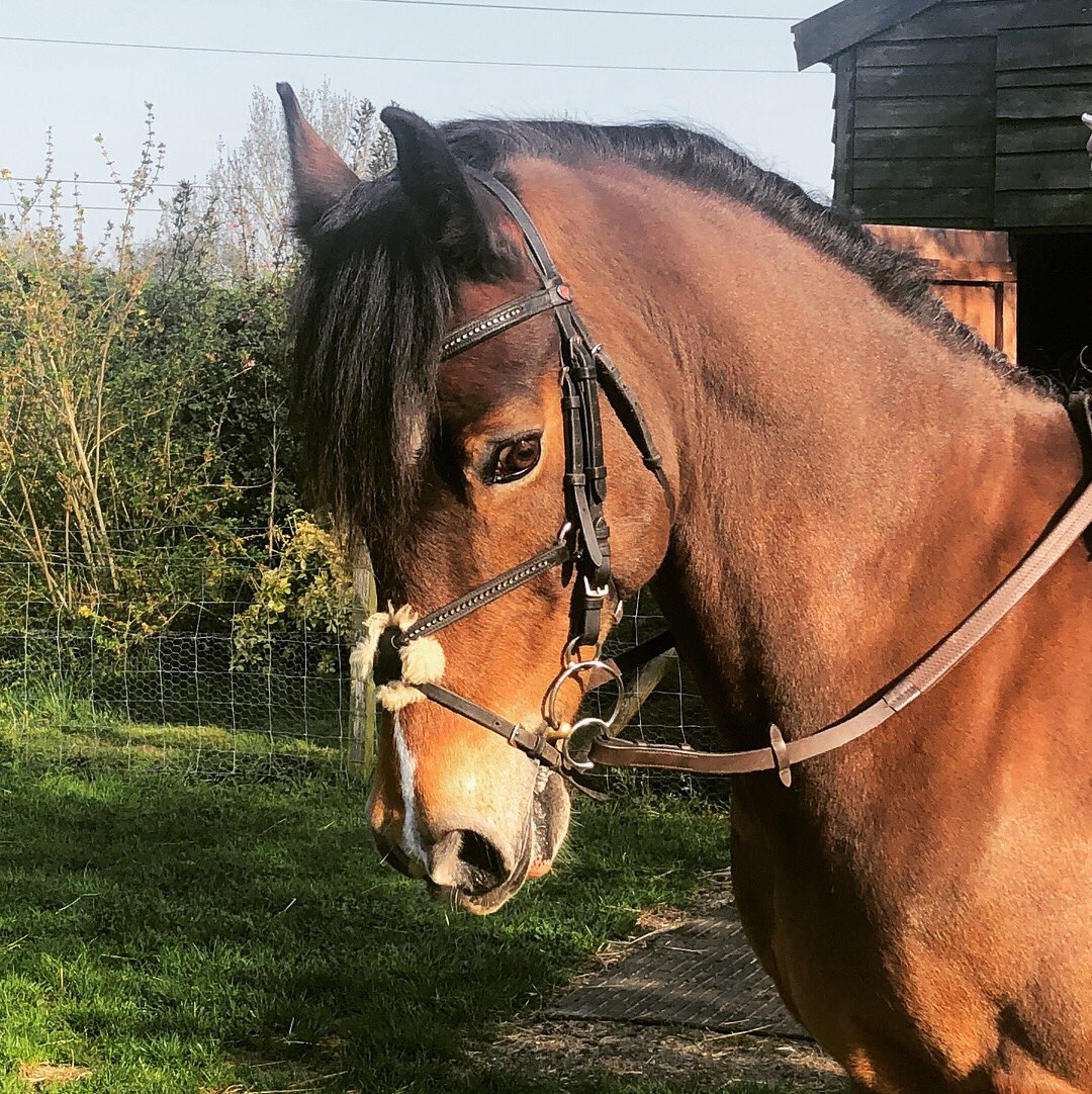 EJ_Smith1687's tweet photo. Enjoying the sun ☀️
@nsbits #neueschuleuniversal #neueschulebits #handsome https://t.co/4QKpsPzclc
