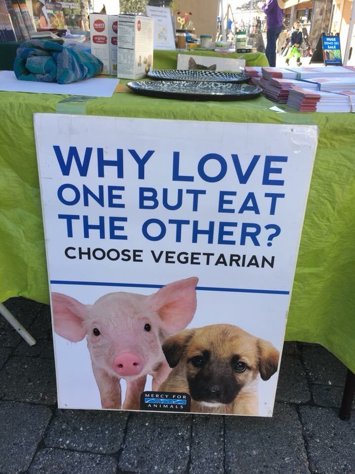 vegan1day's tweet photo. Speaking today to folks abt compassion for animals. #EarthDay18 at #SquawValley. Come say hello!  #vegan1day #johnmerryfield #tahoetruckee https://t.co/jCtZ2keNUz