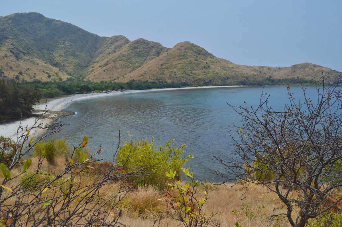 Going_Turista's tweet photo. Olala! Beach Time!
#SundayMorning #PhotoOfTheDay #travel #beachplease #AdventureAwaits #hikingadventures #agnaemcove #agnaincove #playingtourist
>>>>> https://t.co/fKlXDdOF4x https://t.co/GCauaG0IzX