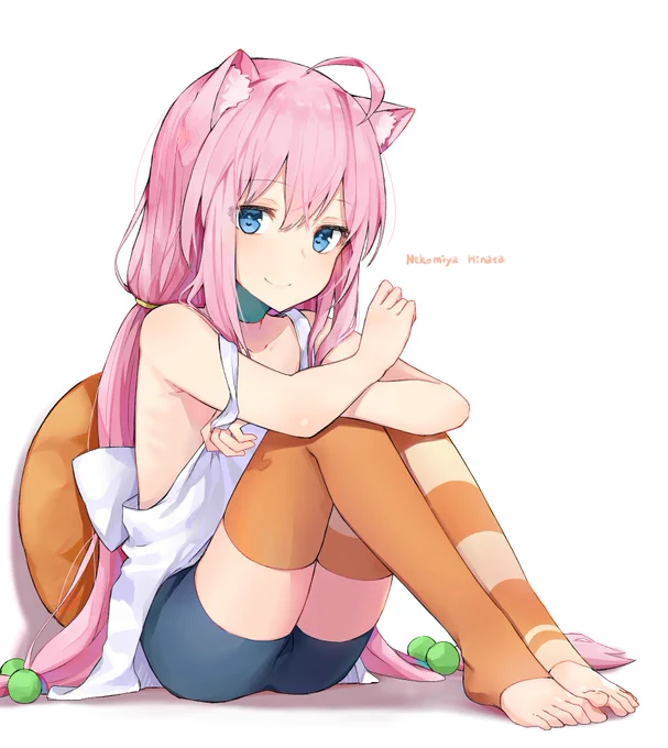 #猫宮ひなた
バーチャルYouTuberの猫宮ひなたさん。 