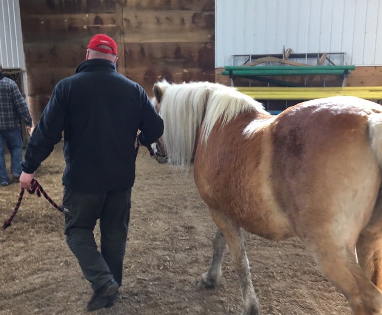 glennthecop's tweet photo. Thank you @WoundWarriorCA and @canpraxis for an amazing chance to learn about PTSD and strategies to deal with it! Special thanks to Steve Critchley and Jim Morland! #PTSD #OSI #canpraxis #injurednotbroken #equinetherapy #firstresponders #creatingunderstanding #creatinghope https://t.co/PoUR7eUGnQ