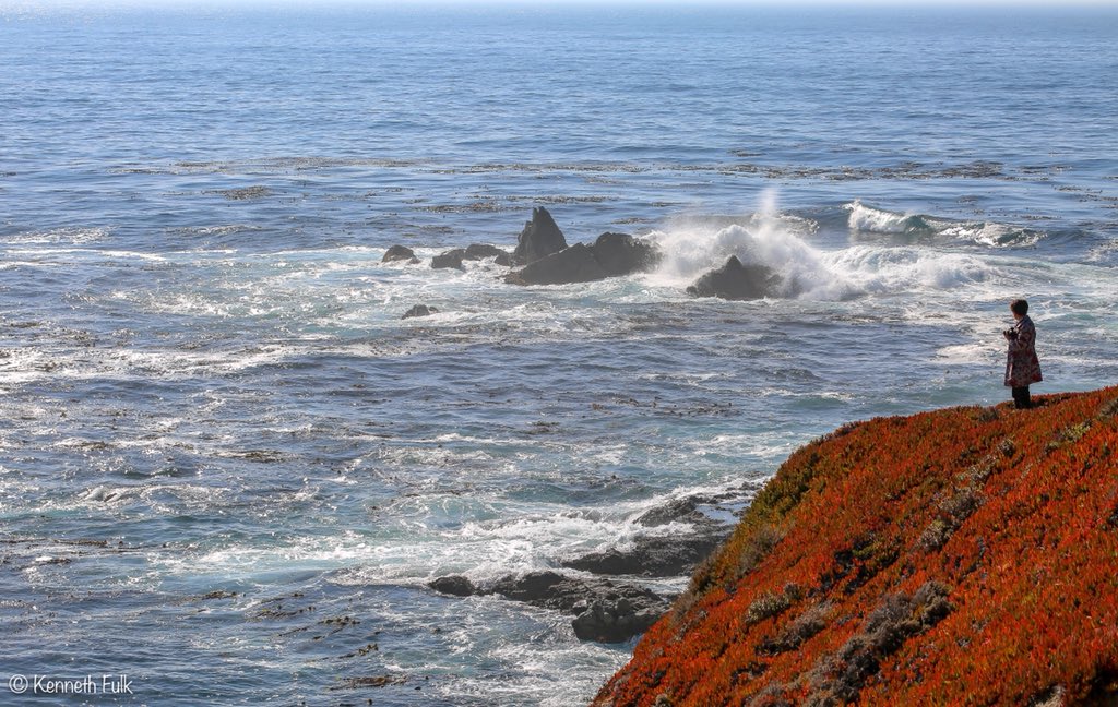 FulkPhoto's tweet photo. "Appreciation"
•
•
•
#Appreciate #Appreciation #Gratitude #Gracious #Thankful #Awe #Admire #Admiration #California #CA #Cali #WestCoast #BigSur #TheBigSur #BigSurCoast #CaliCoast #Canon #CanonPhoto #Canon_Photo #Canon_Photos #Fulk #FulkPhoto #FulkPhotography #KennethFulk https://t.co/fbrtJBxutT