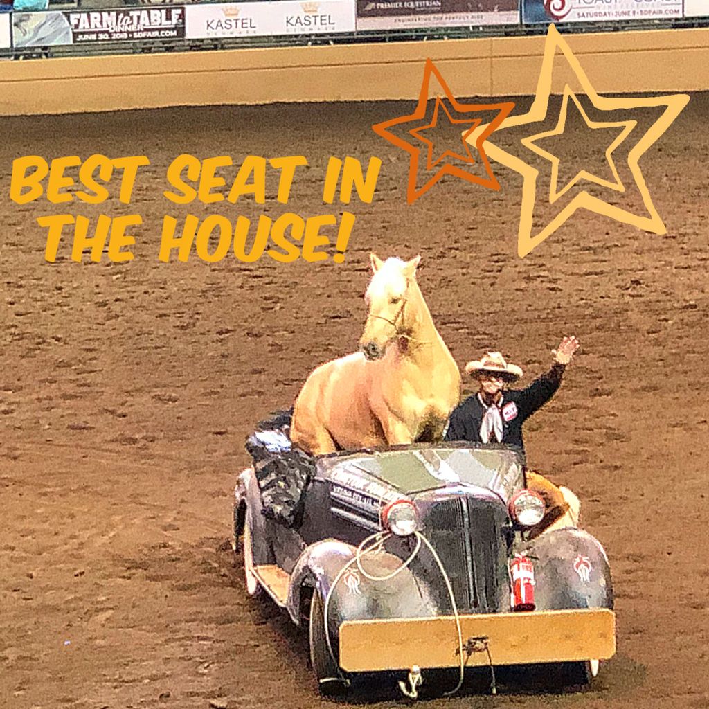 reinsprogram's tweet photo. It was a great night of fun at the @DelMarNational #NightoftheHorse! There were so many amanzing performances, including this cowboy and his endearing American #Mustang horses!
#dmnhs
#delmarnational
#westernriding
#dressage
#hunterjumper
#horse
#welovehorses https://t.co/6odWV5CZwl