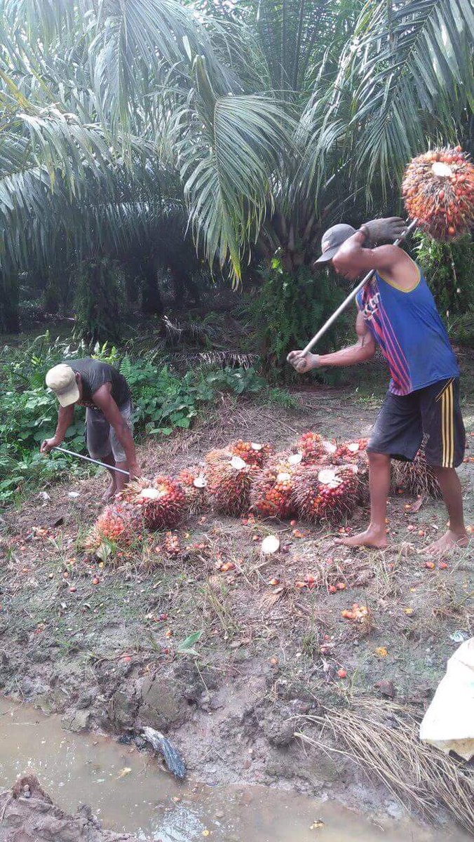 m.facebook.com/story.php?stor…