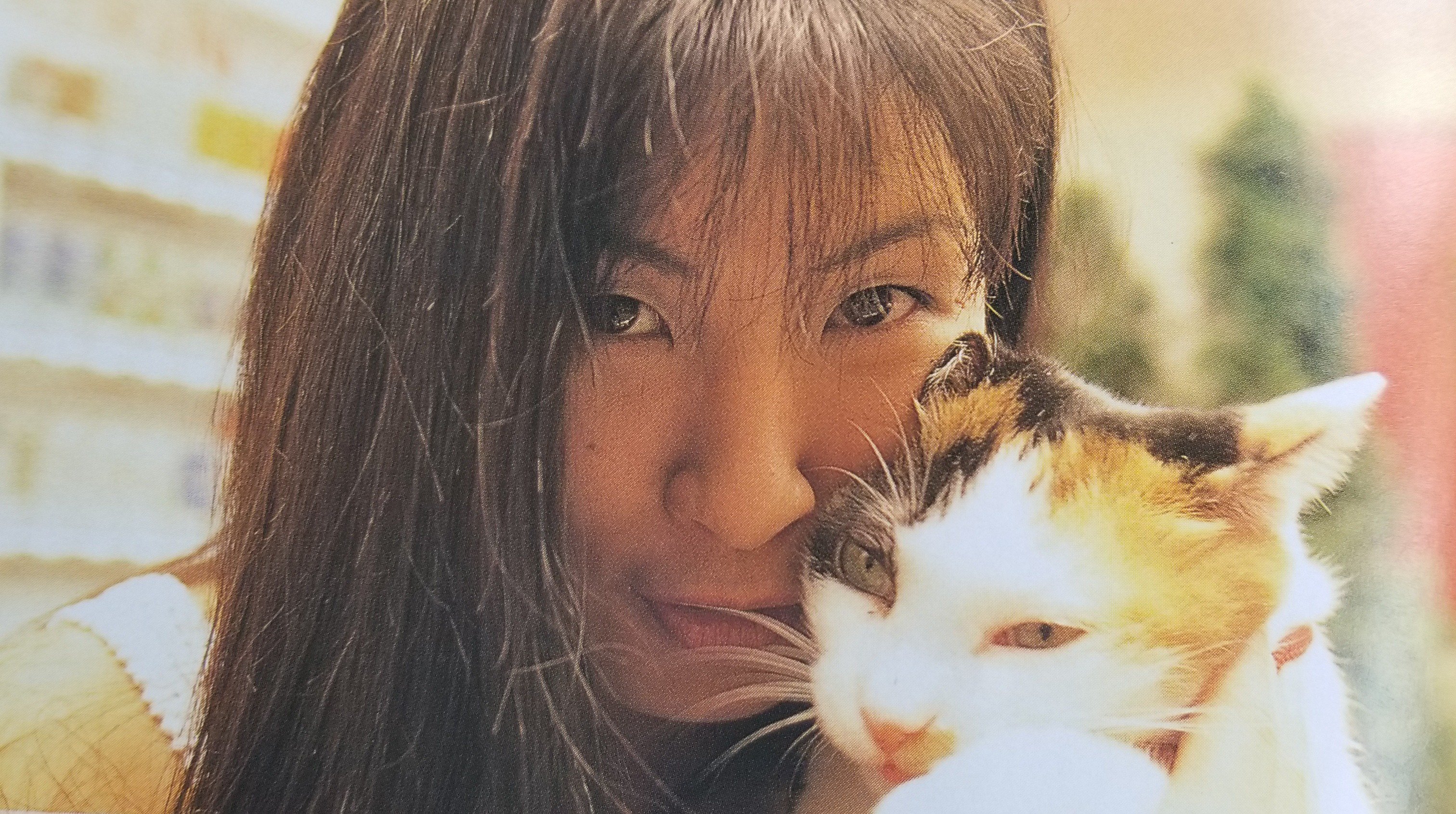 豊田真奈美の昔の画像は 結婚や現在の収入が気になる マツコの知らない世界 Kosinekoののんびりブログ