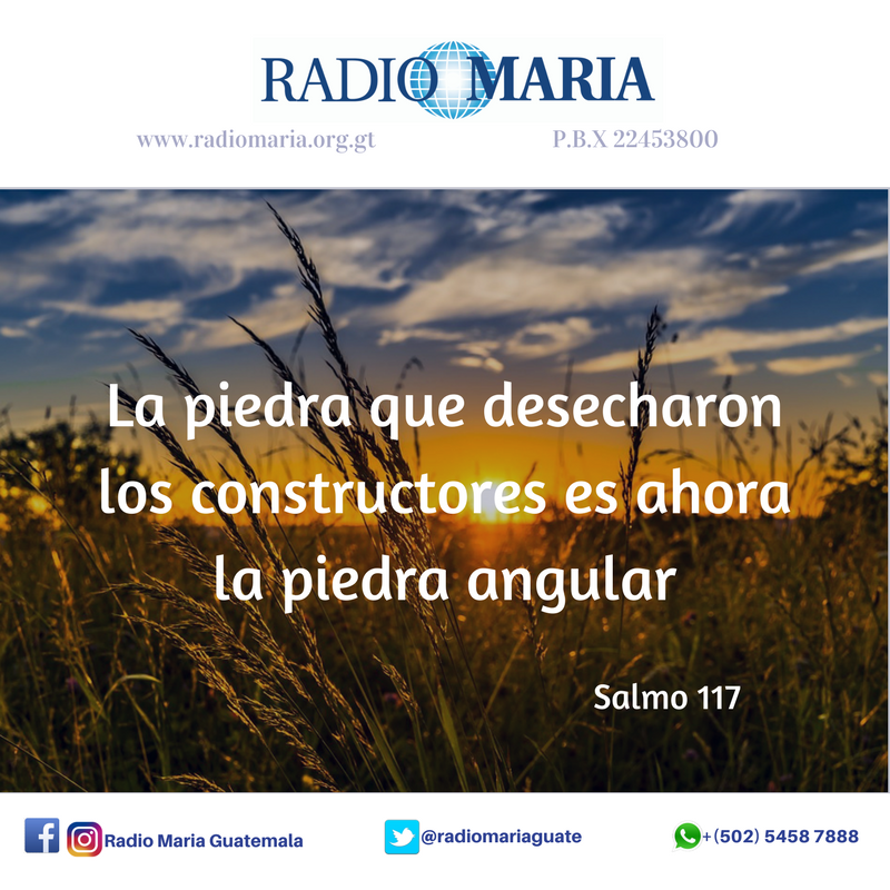 Salmo 117

Te damos gracias, Señor, porque eres bueno, porque tu misericordia es eterna.
Más vale refugiarse en el Señor, que poner en los hombres
la confianza; más vale refugiarse en el Señor, que buscar con los fuertes una alianza.