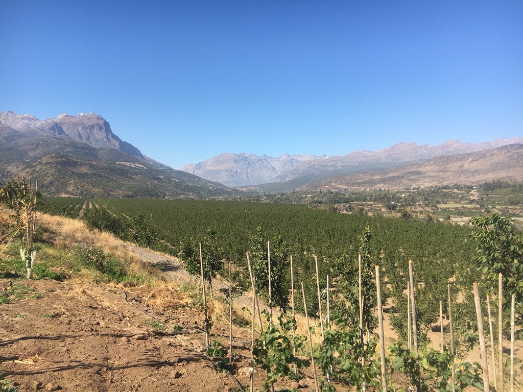 AndydElliot's tweet photo. A day to remember in the Andes. Horse riding, Mountain lakes, Mountain climbs, walnuts, bbq and absolutely stunning views. #chilerocks #NuffieldAg #ChileAg https://t.co/nvvmDF615G