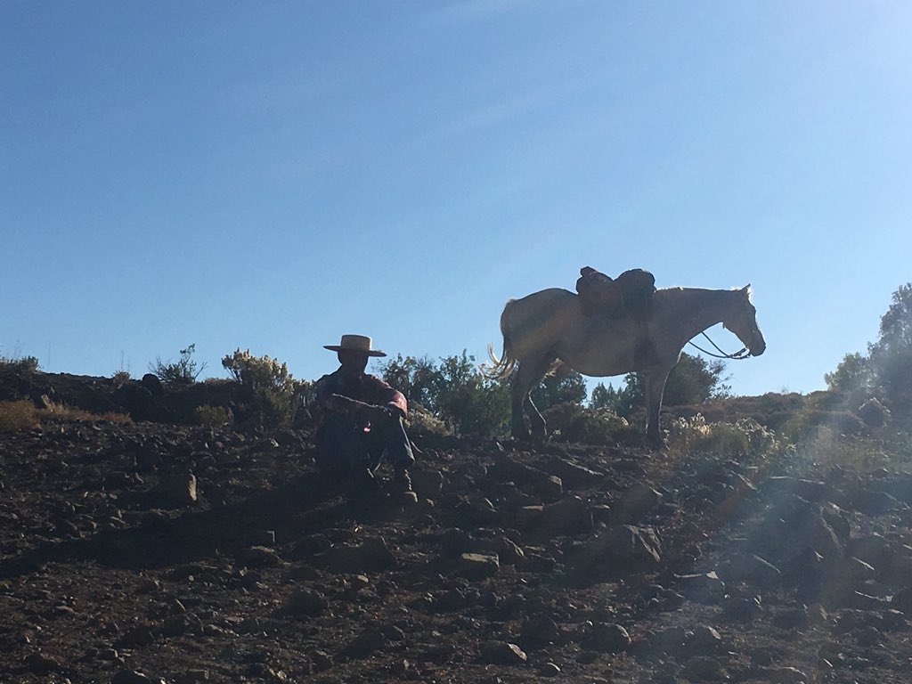 AndydElliot's tweet photo. A day to remember in the Andes. Horse riding, Mountain lakes, Mountain climbs, walnuts, bbq and absolutely stunning views. #chilerocks #NuffieldAg #ChileAg https://t.co/nvvmDF615G