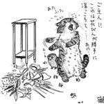 猫が花瓶を割ってしまったら叱る？言葉が分かると叱れないかもｗ