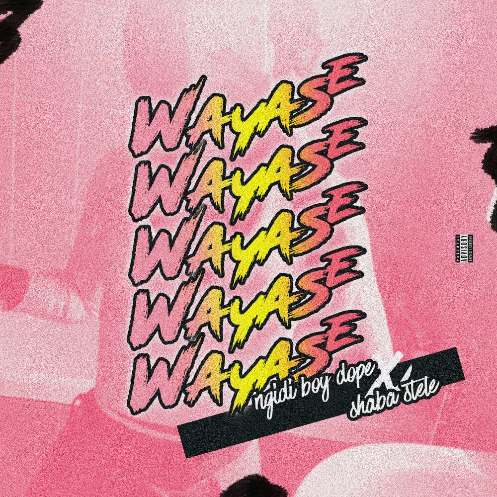eyesofbrandon's tweet photo. By the way, be sure to download @melanin_puppy's latest single titled #WaYaSe ft @shabastele (prod by Thato Ngidi)👑🔥
Download link:
https://t.co/l8RxDG3H9m https://t.co/eYICeTXesi