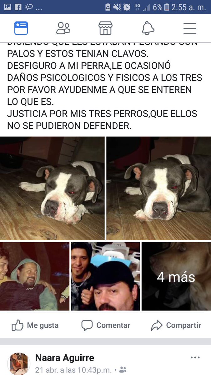 Milegodoy25's tweet photo. MAXIMA DIFUSION PARA QUE SE HAGA JUSTICIA,SON MIS PERROS POR FAVOR ME LOS DESTRUYÓ PARA SIEMPRE LE VAN A QUEDAR ESAS SECUELAS Y DAÑOS PSICOLOGICOS https://t.co/dKFHybvPMA