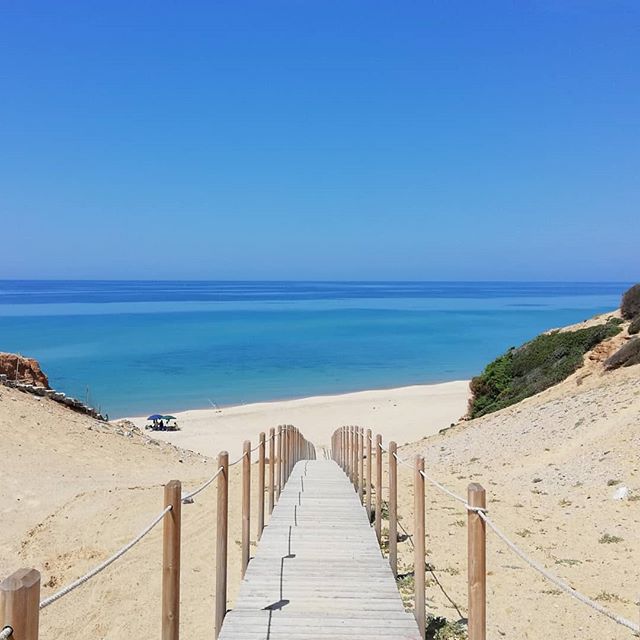 SardegnaAlMare's tweet photo. Grazie a @blondine_agus per aver usato il nostro hashtag #SardegnaAlMare:
Mi sei mancato💙
°
°
#scivu #rulez
°
°
°
#arbus #sardiniansea #westcoast #wildcoast #wildsardinia #mymedicine #shotz_of_sardegna #sardegnaalmare #myfavouriteplace #chillinginthesun #lukygirl #muchl https://t.co/gTJa9YRi8C