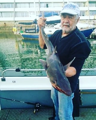 MarinaPlymouth's tweet photo. Fred had a successful Saturday @MarinaPlymouth yesterday. Not only did hook a number of #spurfish *including a 14lb 9oz whopper* But also an 11lb 8oz #Huss #fishing #marina #sailing #fishinglife #Britainsoceancity #DestinationPlymouth #fredsfish https://t.co/g6t8xVECC4