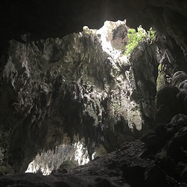 everywhs's tweet photo. #callaocave would make a really good home for a #dragon what with the skylight entry and all #philippines🇵🇭 #travel https://t.co/b4GjjHjncv https://t.co/8WyVdxmcIH
