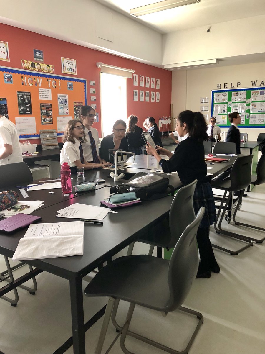 BCADprepscience's tweet photo. Year 7 using the Clips app on their iPads to show how to make red cabbage indicator https://t.co/JBeiSu3D33