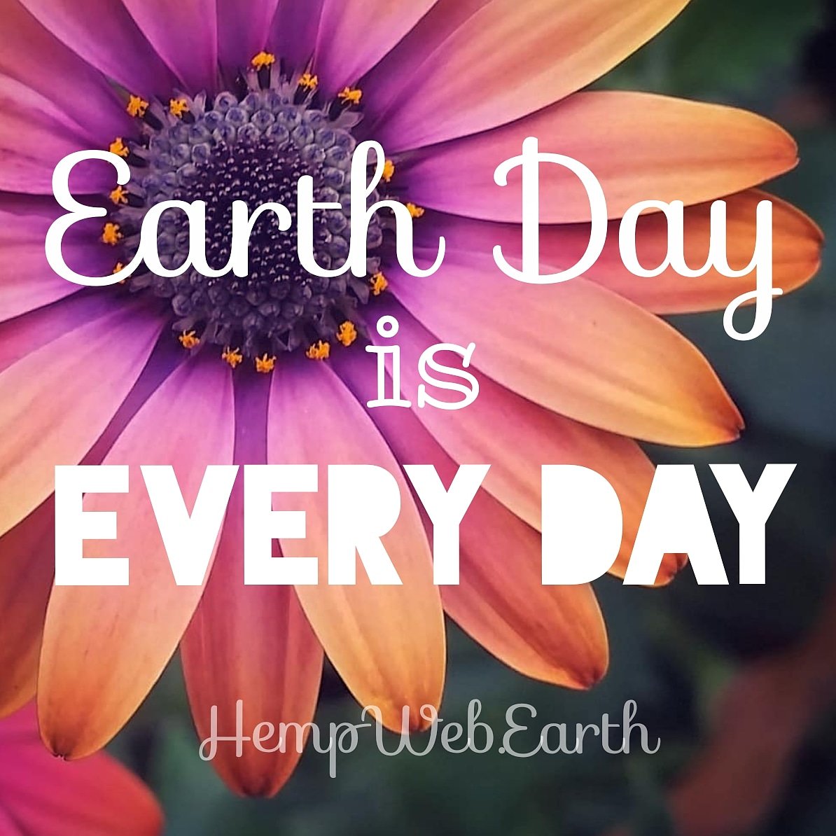 HWE_HQ's tweet photo. 🌿🕸🌏 To reconnect with nature is to reconnect with ourselves - revering &amp; celebrating Earth with every breath we take: We are on our way... 🌿🕸🌏 https://t.co/utmJvd3gqT launching soon...! 🌿🕸🌏 #EarthDay2018 #EarthDay2018 #hemp #cannabis #industrialhemp #hempwebearth 🌿🕸🌏 https://t.co/L1gdAqLgKE