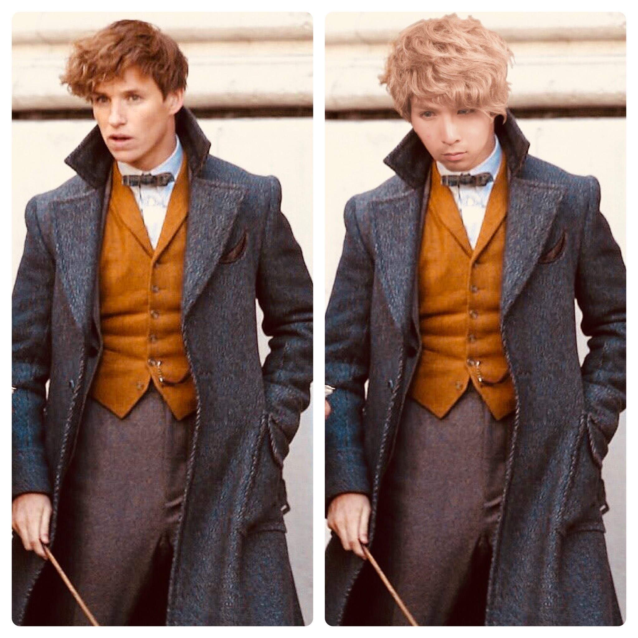 ファンタスティックビースト ファンタビ◇ニュート・スキャマンダー