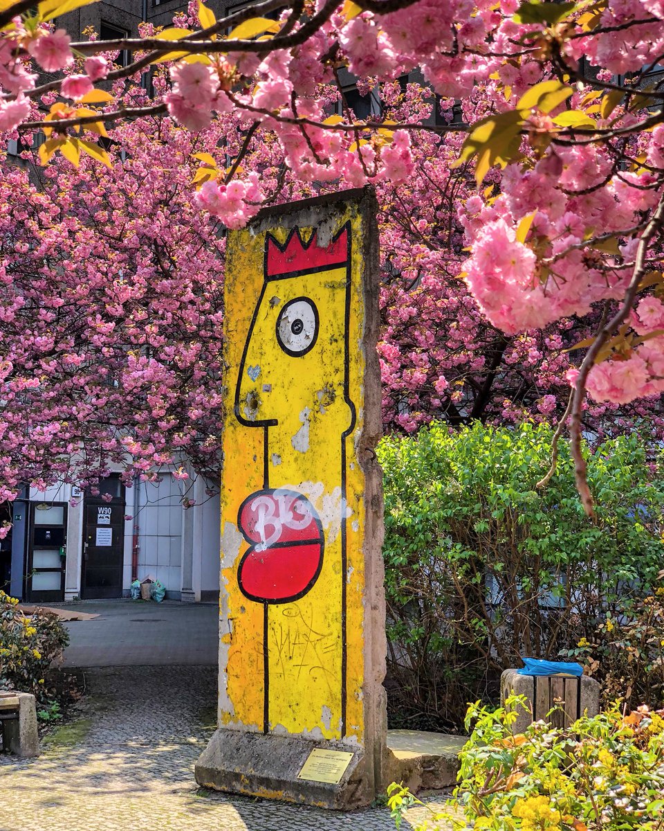AWBLN's tweet photo. #berlinwall surrounded by #berlinblossom . Right above where “You-Know-Who” had his bunker. #berlinthings https://t.co/DIOAGVTlko
