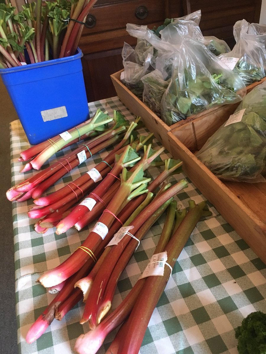 Axminster Country tweet media