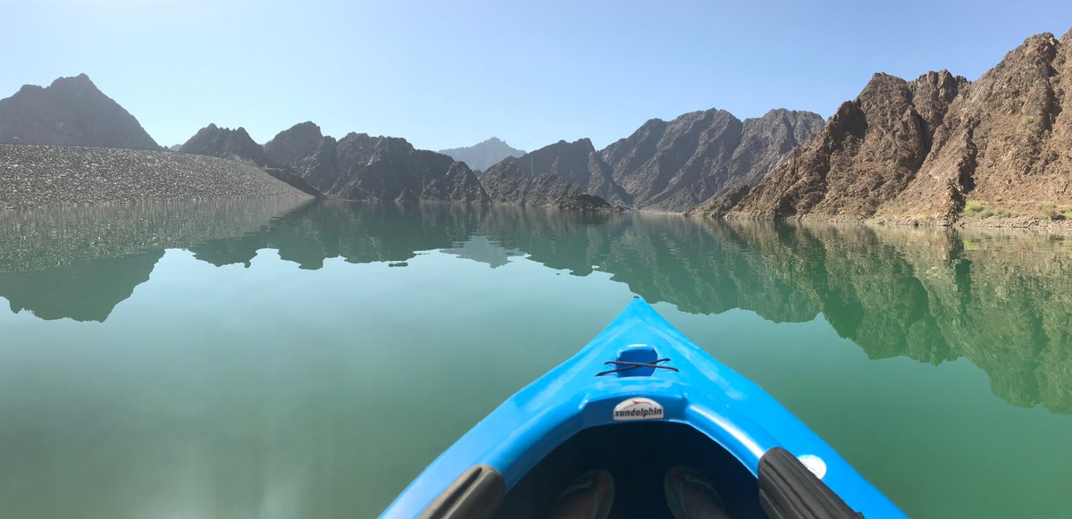 M E G A N tweet media