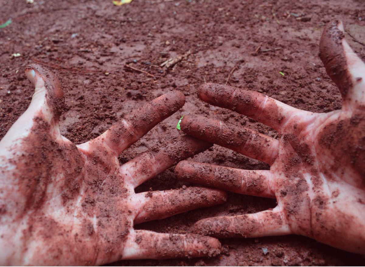 ⓣⓘⓔⓡⓡⓐ ⓡⓞⓙⓐ
Hoy es el #diadelatierra  y queremos homenajear a la nuestra pero también tomar conciencia y saber que nuestras acciones individuales cuentan! 
<a href="/RnfrstAlliance/">Rainforest Alliance</a> #misiones