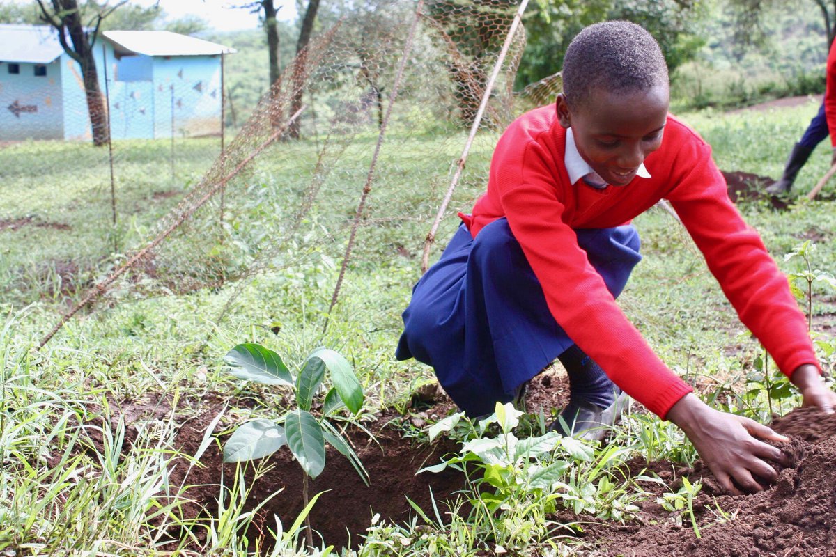 IEFTanzania's tweet photo. Happy #EarthDay from Orkeeswa School! We have been growing all of our own veggies for the past 10 years, and we use them to provide our students with two hot meals a day! #sustainablegardening https://t.co/2WTw1AGjgF