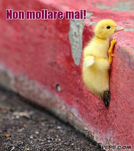 M Rt Hopromesso Di Non Mollare Mai