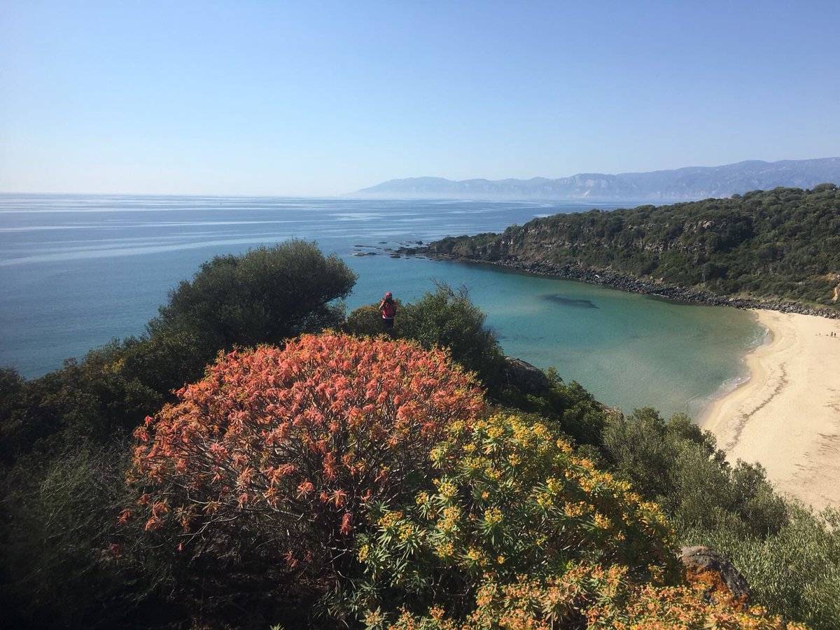 Portale Sardegna tweet media