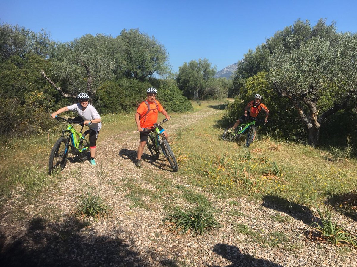 Portale Sardegna tweet media