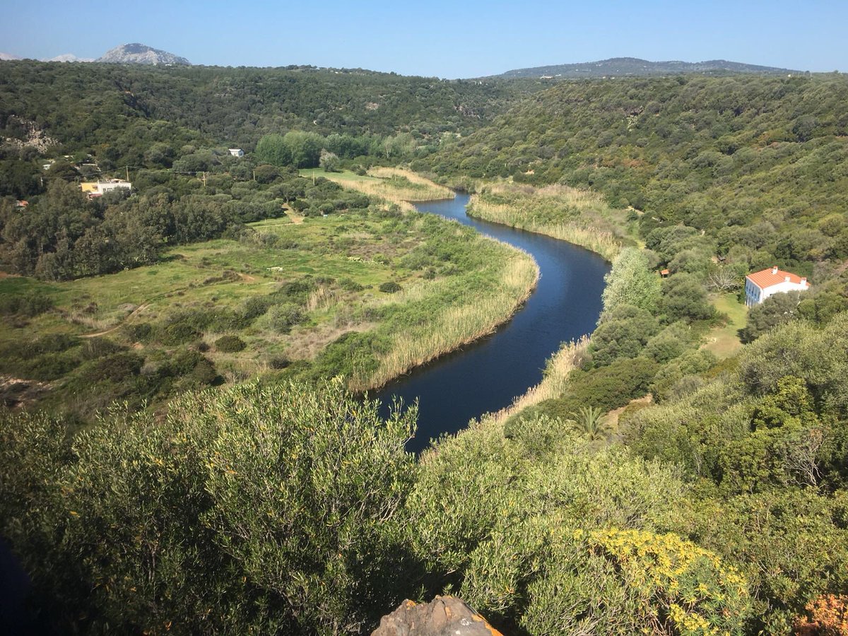 Portale Sardegna tweet media