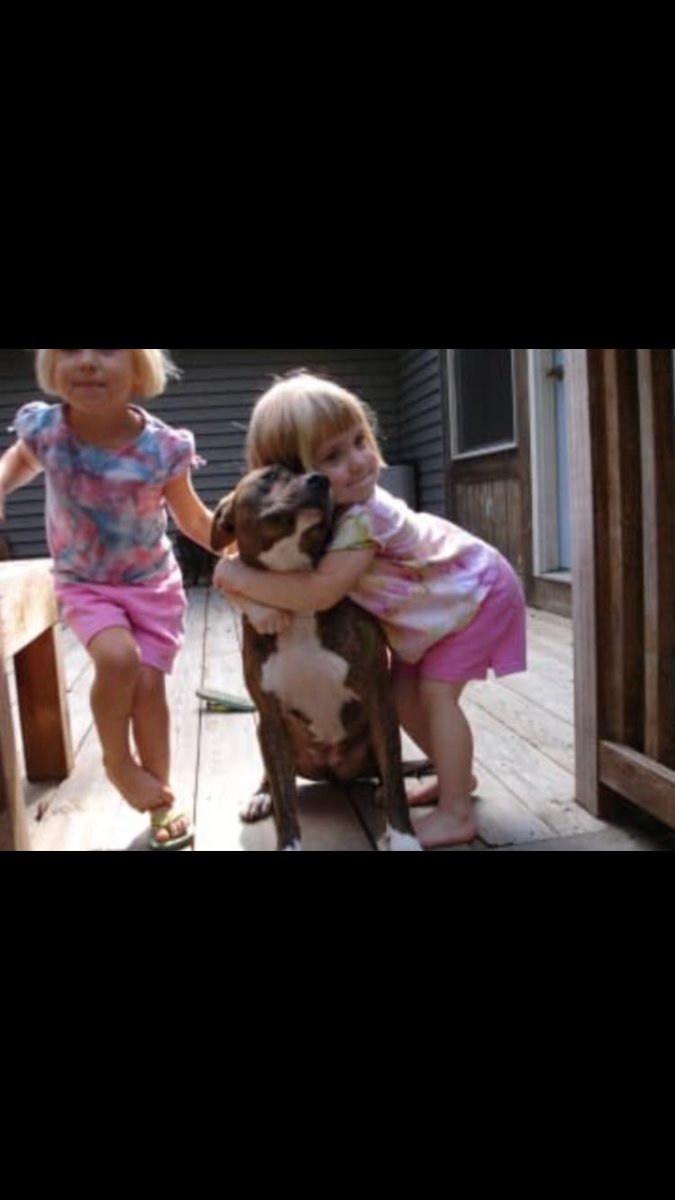 shaundubss's tweet image. #dontblamethebreed #pitbulls #pitbullsaresafe When it comes to pitbulls,the beast is most often the 2 legged animal at the other end of the leash.......Just like any breed it’s all in how you raise them👍🏻🐾