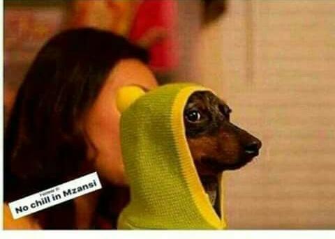 NaroYung032's tweet image. People Wear Shit and claim that it Fashion #WeWatching