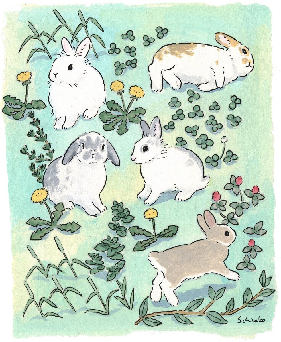 schinako's tweet photo. ぽかぽか春の陽気とうさぎさんたち🐇☀ https://t.co/gSXwZyoWrC